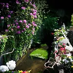 Domaine Du Hetre - Meuble T2 * Bains-les-Bains
